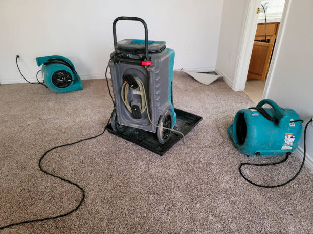  Theodore, AL Water damage restoration Pros