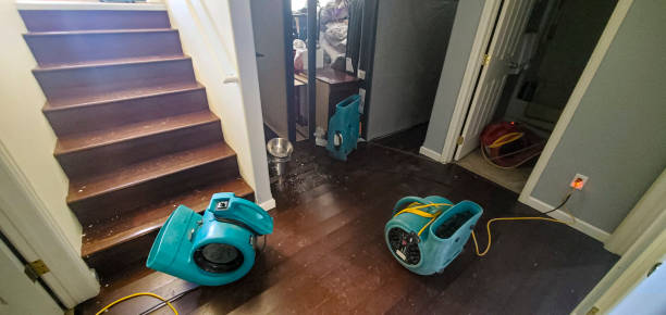 Best Local water damage restoration  in Theodore, AL