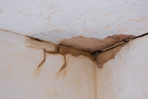 Best Commercial water damage restoration  in Theodore, AL