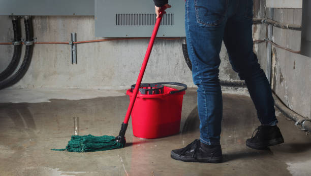 Best 24-hour water damage restoration  in Theodore, AL