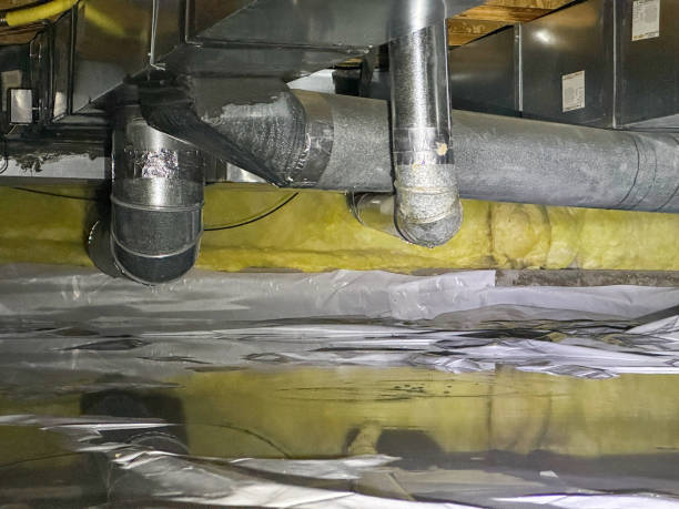 Best Mold removal after water damage  in Theodore, AL