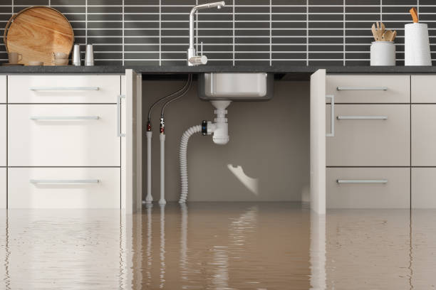 Best Water damage restoration near me  in Theodore, AL